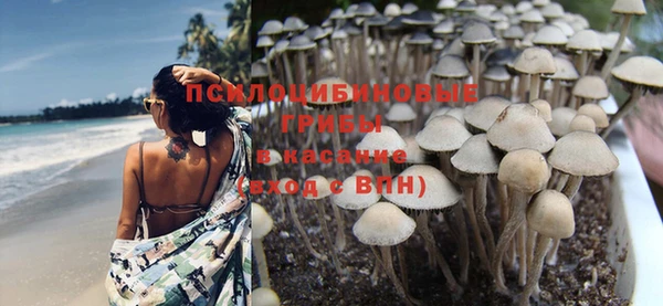 крисы Бугульма