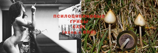 прущие крисы Бронницы