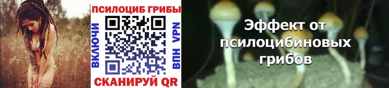 Галлюциногенные грибы Magic Shrooms Купить где Вольск