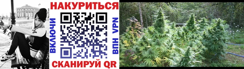 Конопля гибрид  Купить где  Вольск 